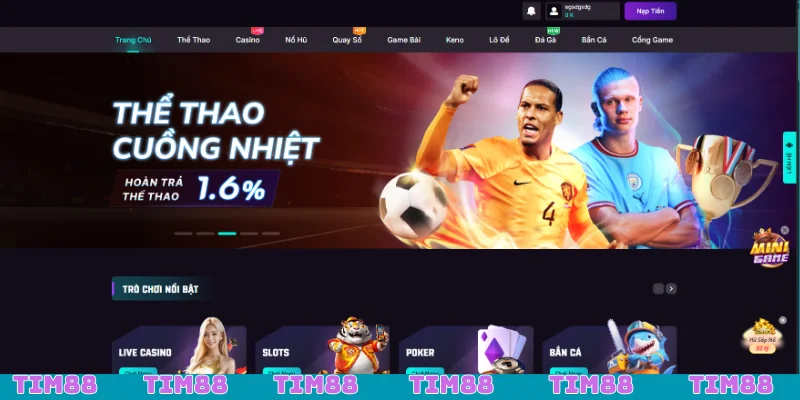 Đánh giá Tim88