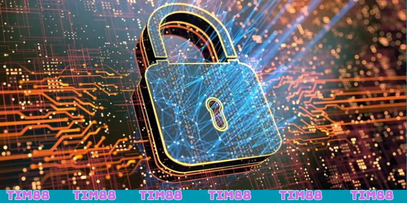 Mã hóa SSL128 bit là công nghệ được ứng dụng thành công