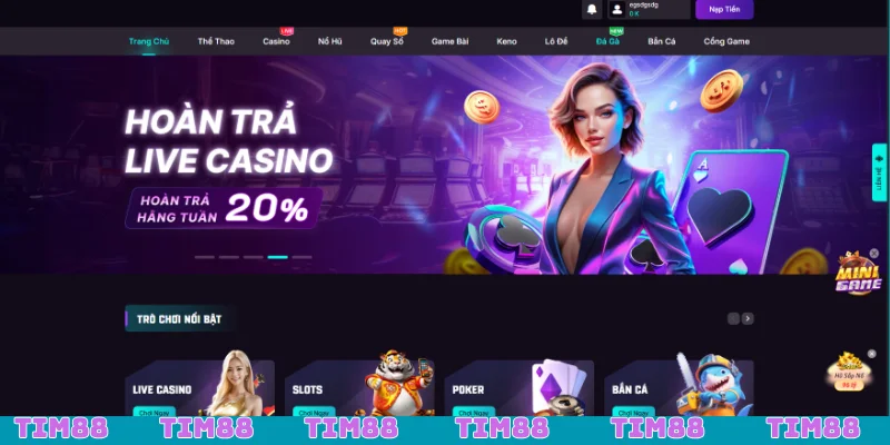 Nhà cái Tim88 luôn hoạt động uy tín vững mạnh trên thị trường