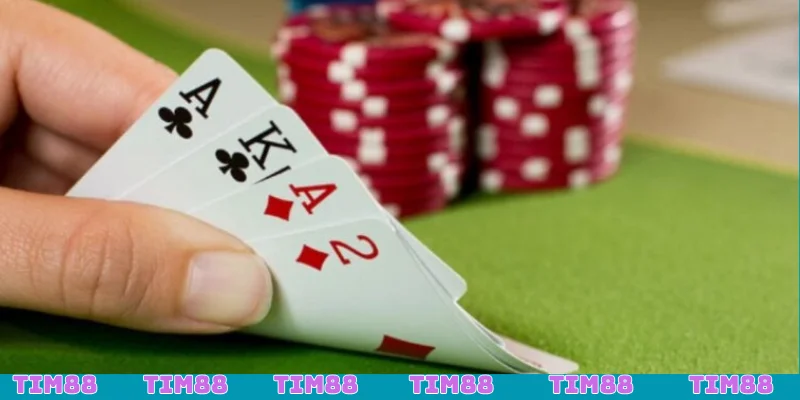 Tham khảo chi tiết thông tin về Catte là bài gì?