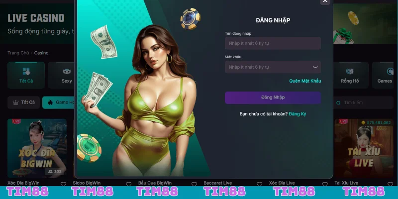 Thông tin điền vào biểu mẫu đăng nhập Tim88 theo quy định mới nhất