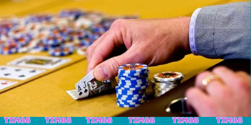 Trong tương lai Catte sẽ phát triển với công nghệ hiện đại
