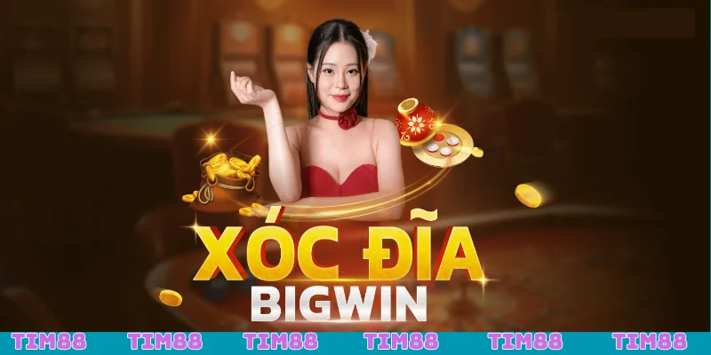 Xóc đĩa chơi sao